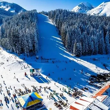 公寓 Belvedere Club к302 班斯科