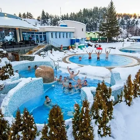 Belvedere Club к302